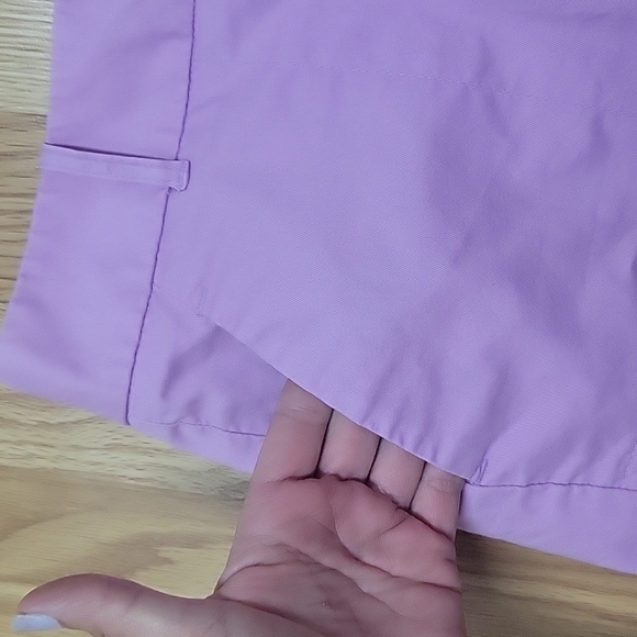 EUC The Limited cotton shorts - Picture 2 of 6